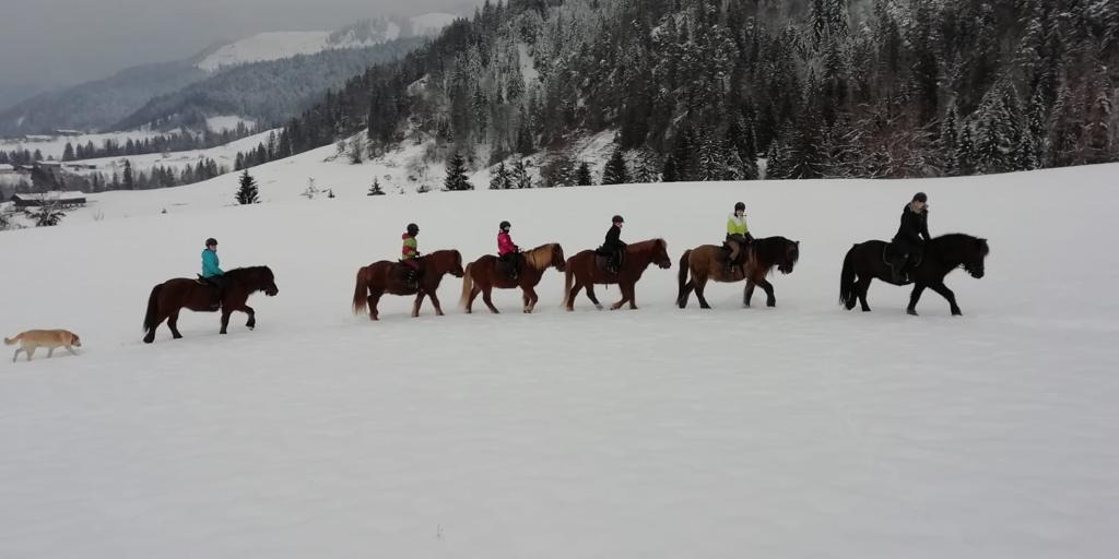 Ponyreiten in Reit im Winkl